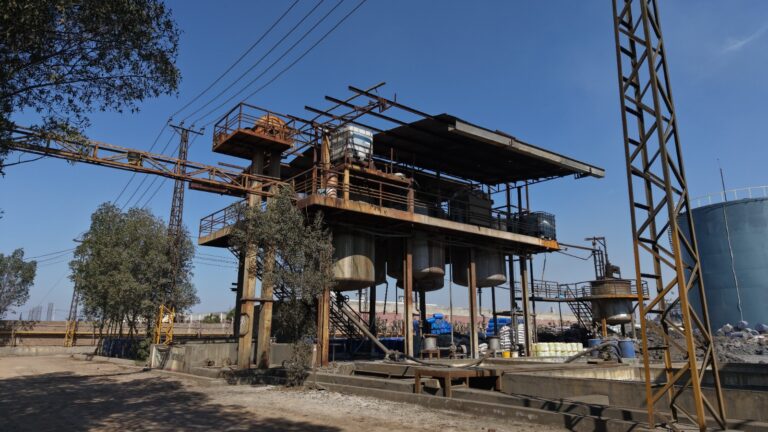 WhatsApp Image 2026-03-11 at 2.37.08 PM (1)