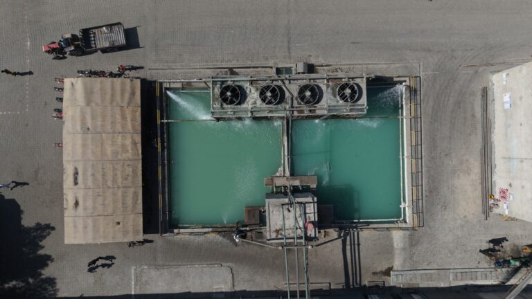 WhatsApp Image 2026-03-11 at 2.37.08 PM