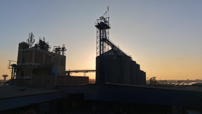 WhatsApp Image 2026-03-11 at 2.37.09 PM (1)