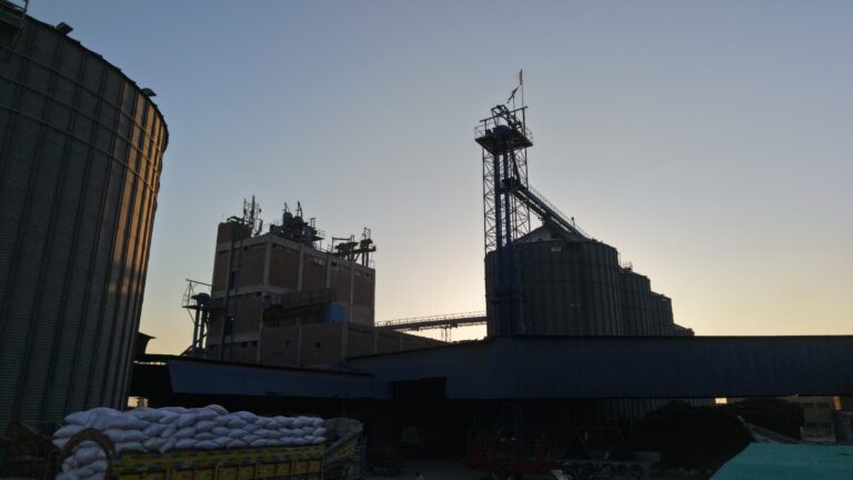 WhatsApp Image 2026-03-11 at 2.37.09 PM (2)