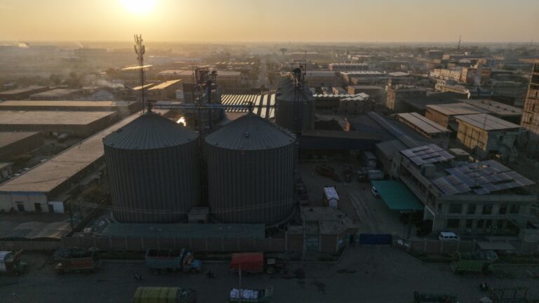 WhatsApp Image 2026-03-11 at 2.37.09 PM