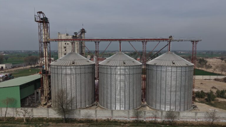 WhatsApp Image 2026-03-11 at 2.37.10 PM (1)