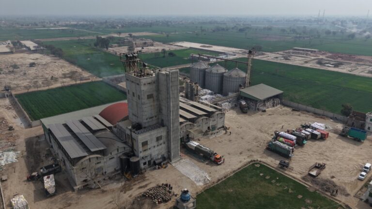 WhatsApp Image 2026-03-11 at 2.37.10 PM