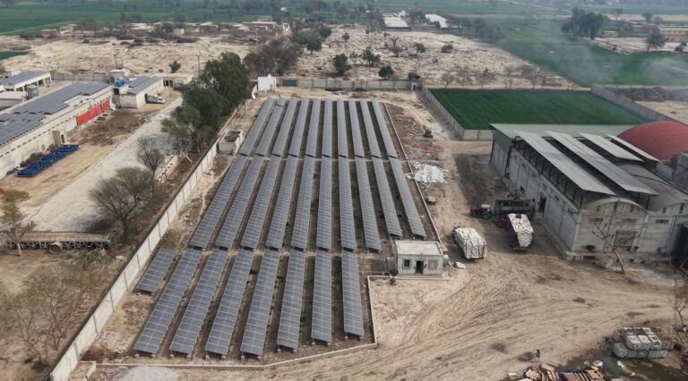 WhatsApp Image 2026-03-11 at 2.39.40 PM